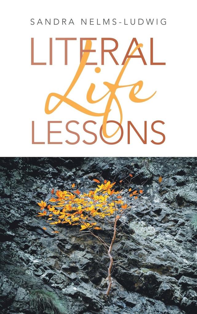 Produktbild: Literal Life Lessons | Sandra Nelms-Ludwig