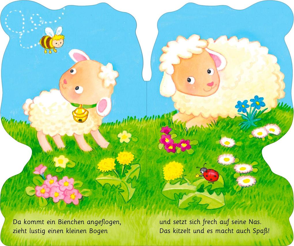 Weitere Ansicht: Mein kleines Lamm | Joschi Mühl