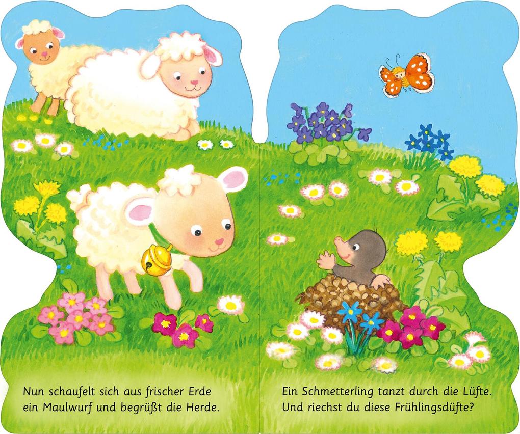 Weitere Ansicht: Mein kleines Lamm | Joschi Mühl