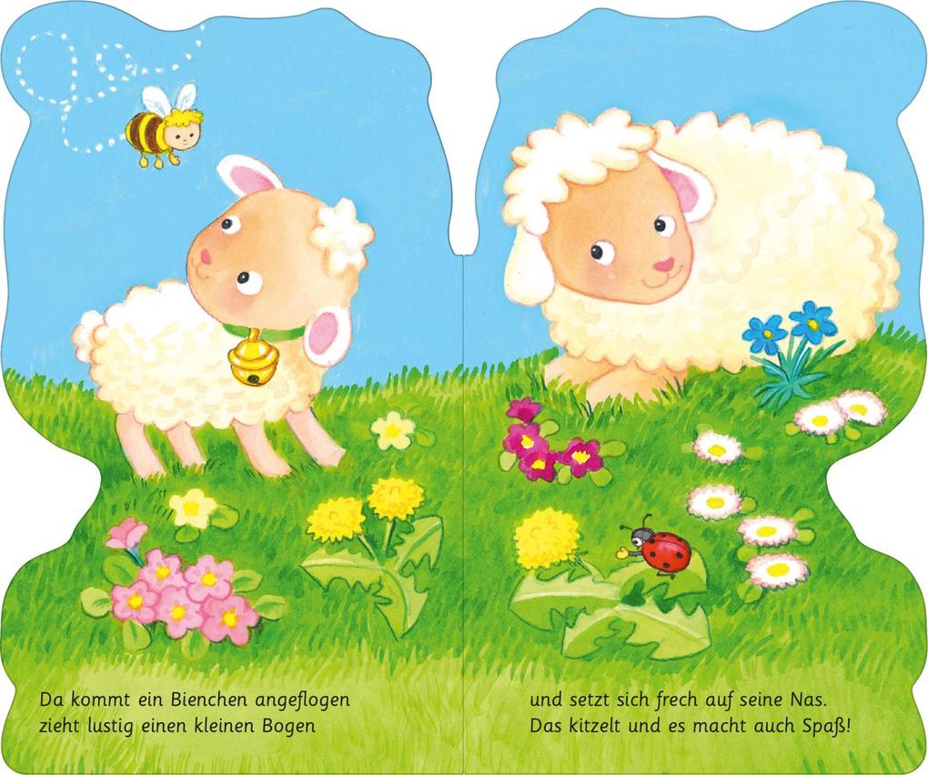 Weitere Ansicht: Mein kleines Lamm | Joschi Mühl