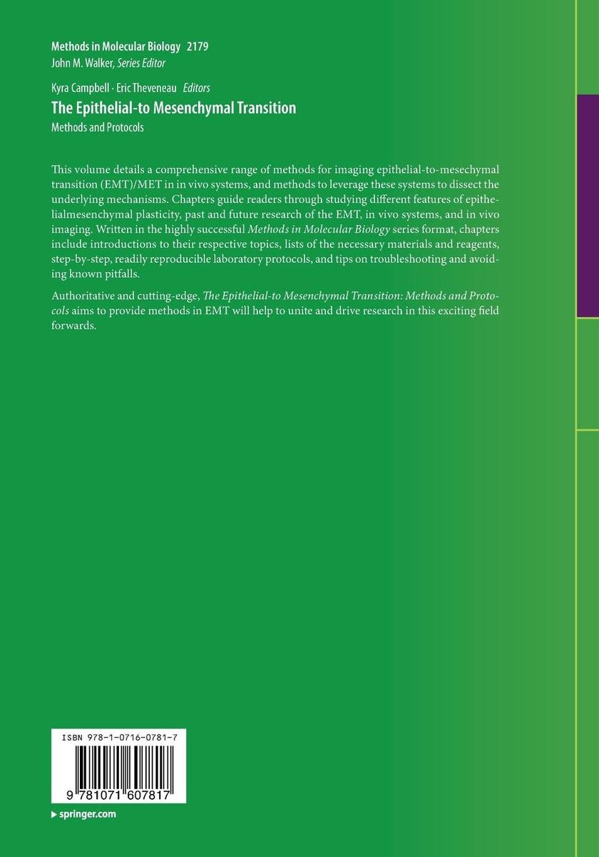 Weitere Ansicht: The Epithelial-to Mesenchymal Transition