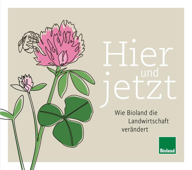Produktbild: Hier und Jetzt