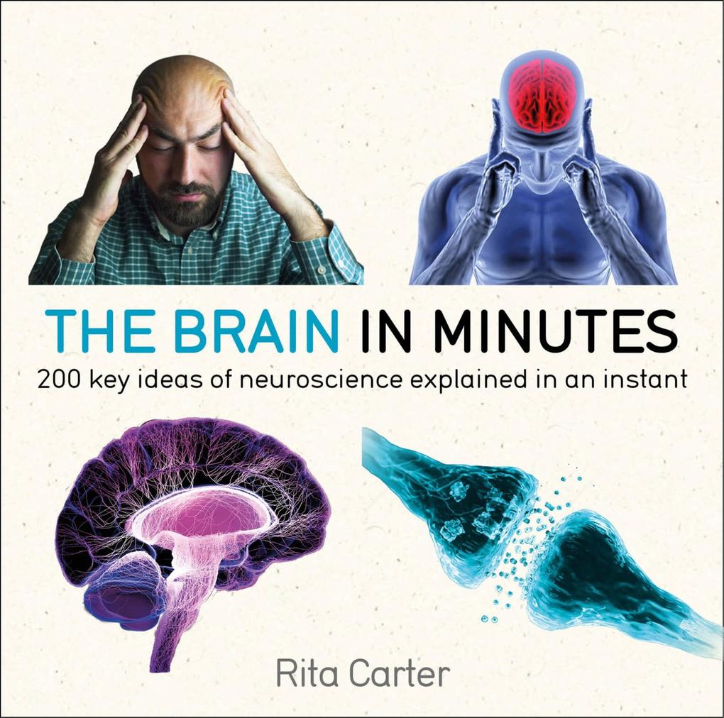 Produktbild: The Brain in Minutes | Rita Carter