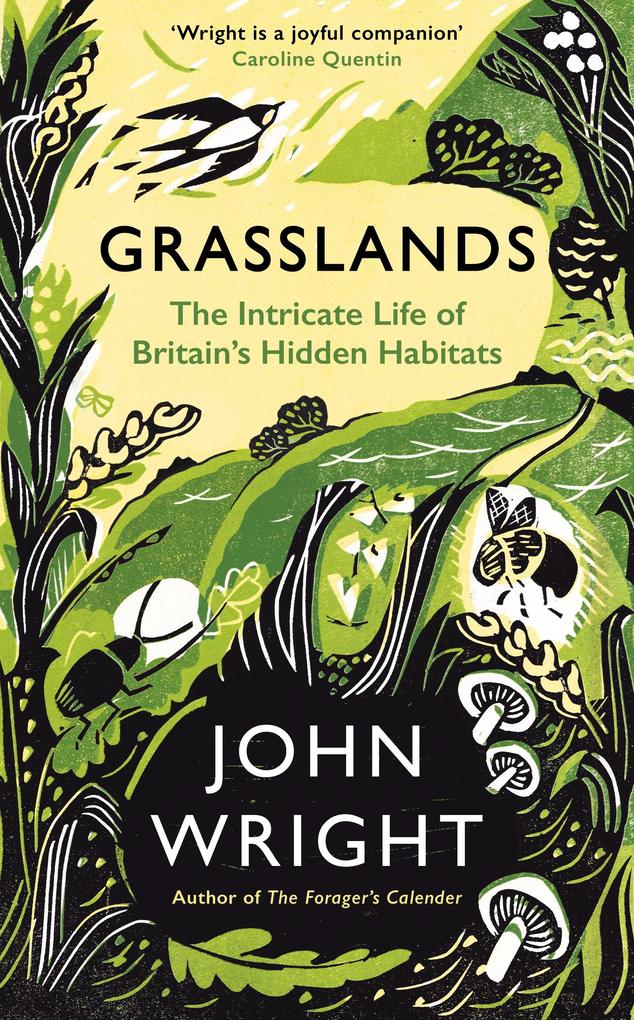 Produktbild: Grasslands | John Wright