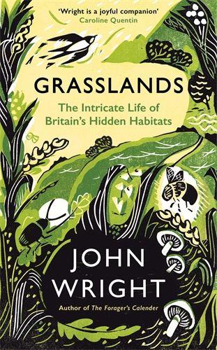 Produktbild: Grasslands | John Wright