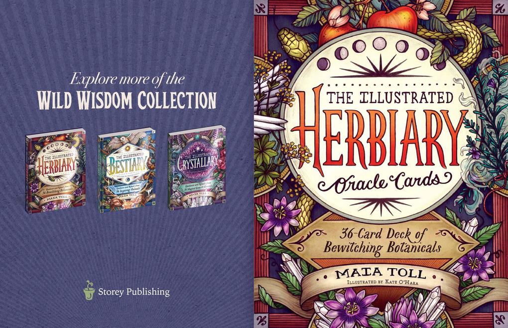 Weitere Ansicht: The Illustrated Herbiary Oracle Cards | Mata Toll