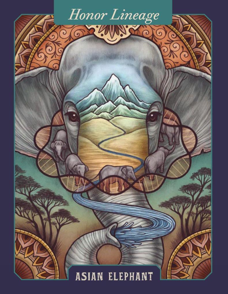Weitere Ansicht: The Illustrated Bestiary Oracle Cards | Mata Toll