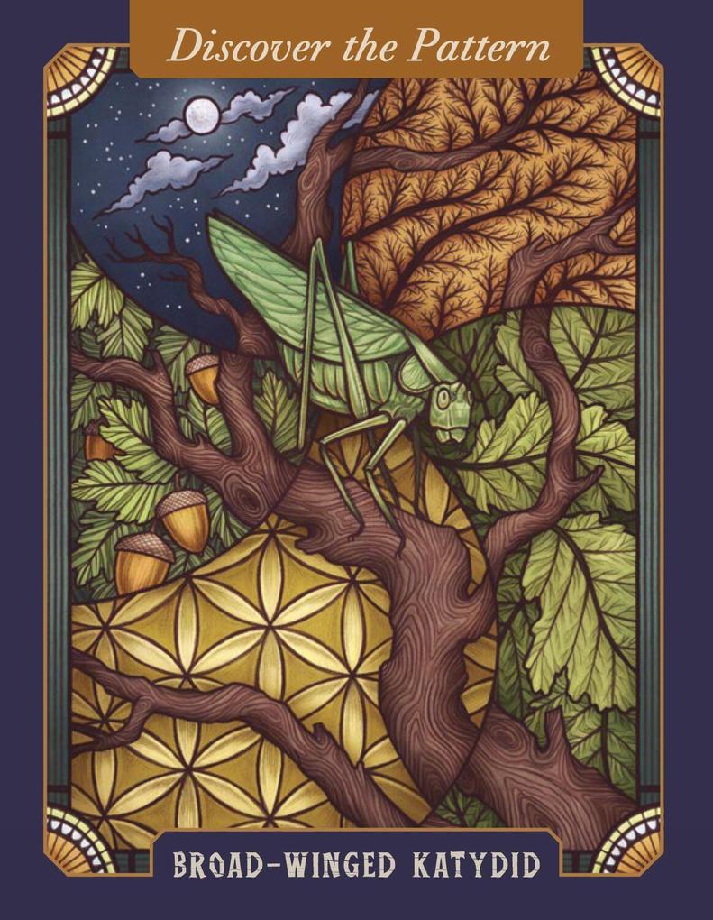 Weitere Ansicht: The Illustrated Bestiary Oracle Cards | Mata Toll