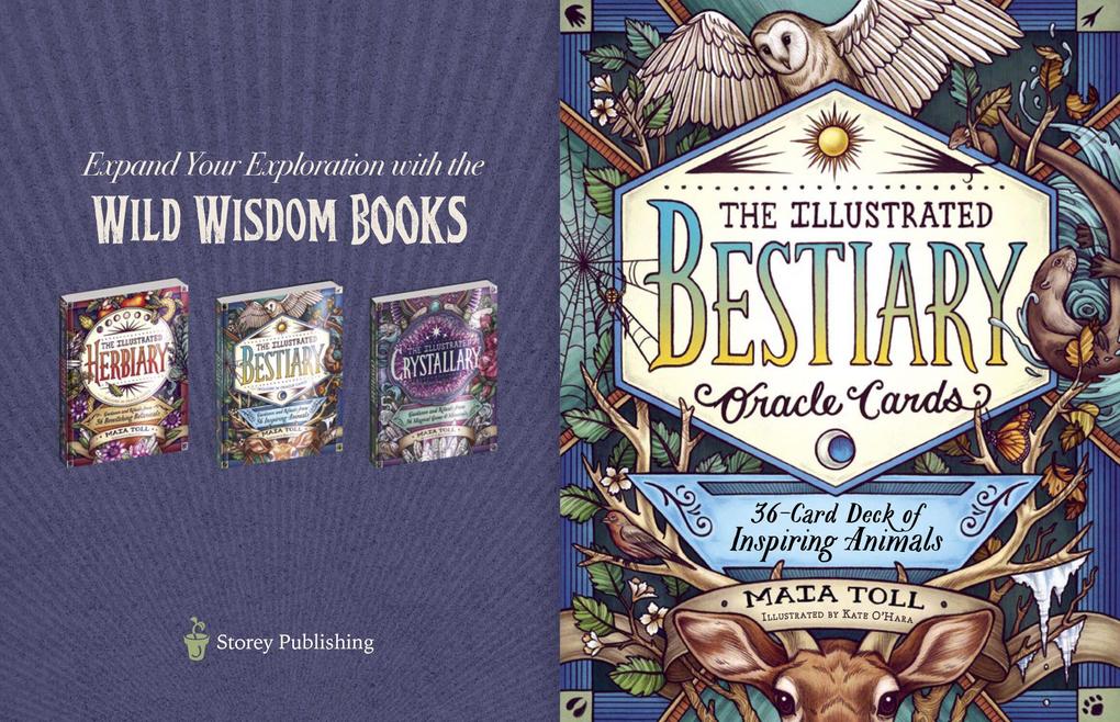 Weitere Ansicht: The Illustrated Bestiary Oracle Cards | Mata Toll