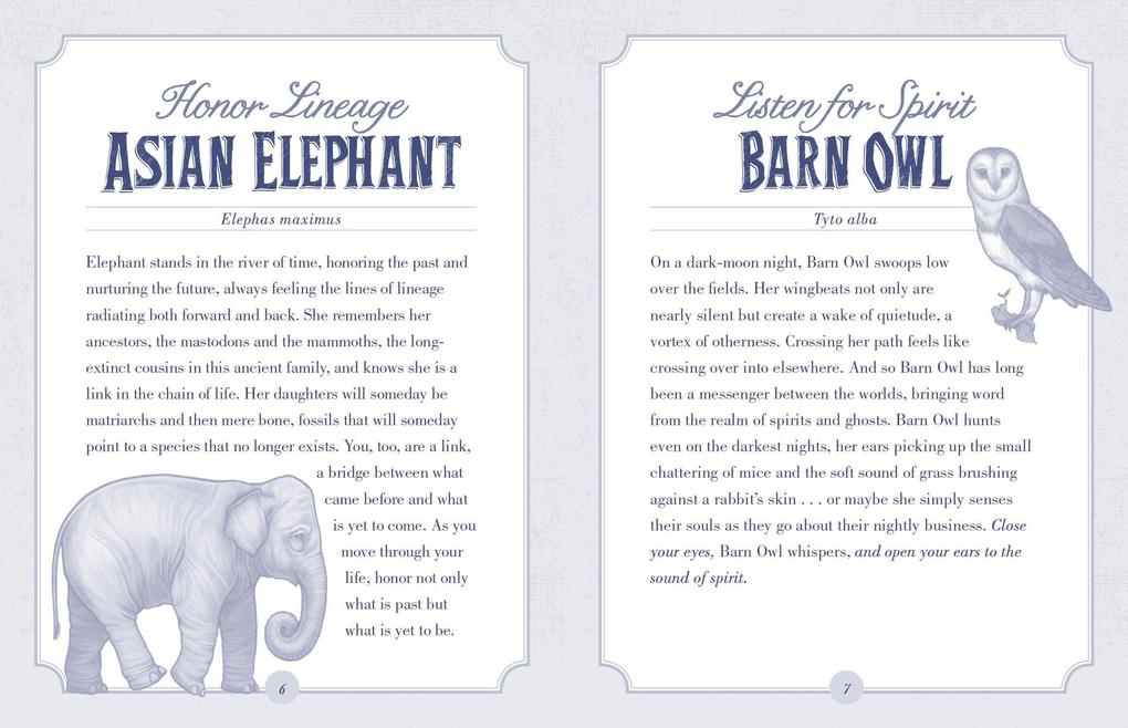 Weitere Ansicht: The Illustrated Bestiary Oracle Cards | Mata Toll