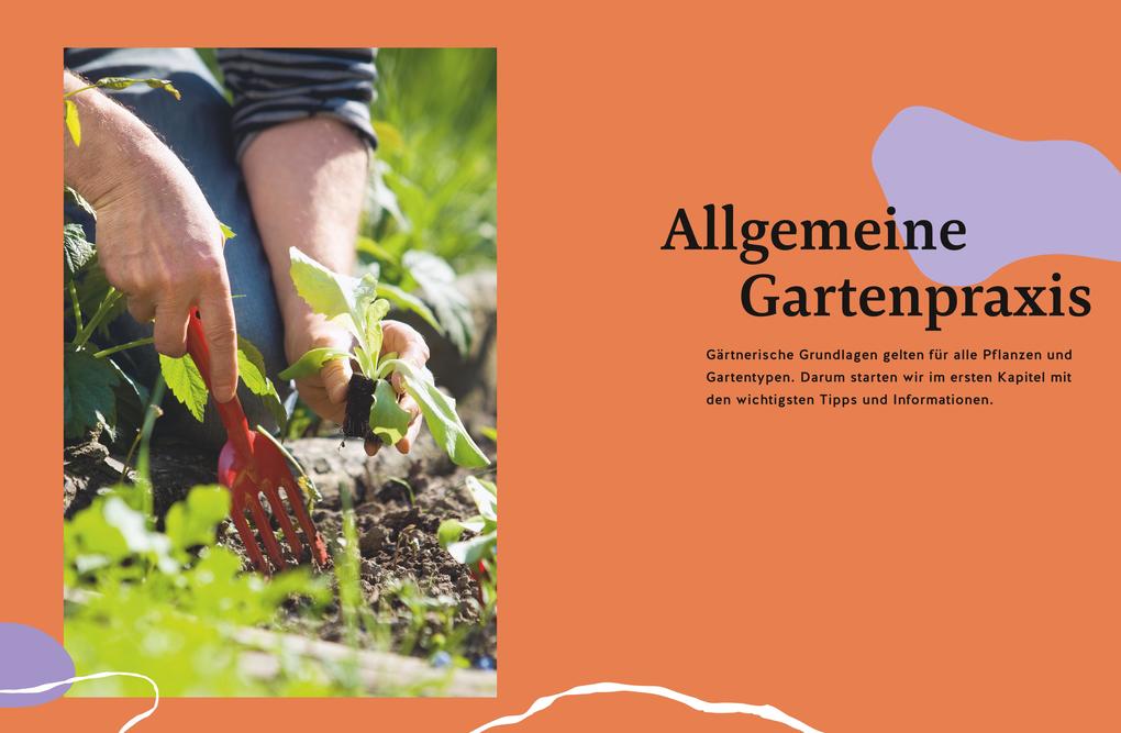 Weitere Ansicht: Gärtnern für Gartenneulinge | Andreas Barlage, Hansjörg Haas, Thomas Schuster, Brigitte Goss