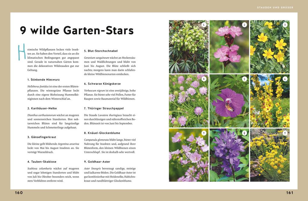 Weitere Ansicht: Gärtnern für Gartenneulinge | Andreas Barlage, Hansjörg Haas, Thomas Schuster, Brigitte Goss