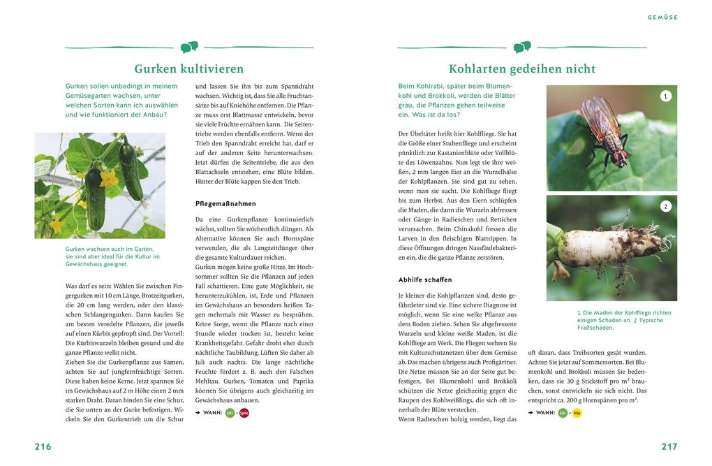 Weitere Ansicht: Gärtnern für Gartenneulinge | Andreas Barlage, Hansjörg Haas, Thomas Schuster, Brigitte Goss