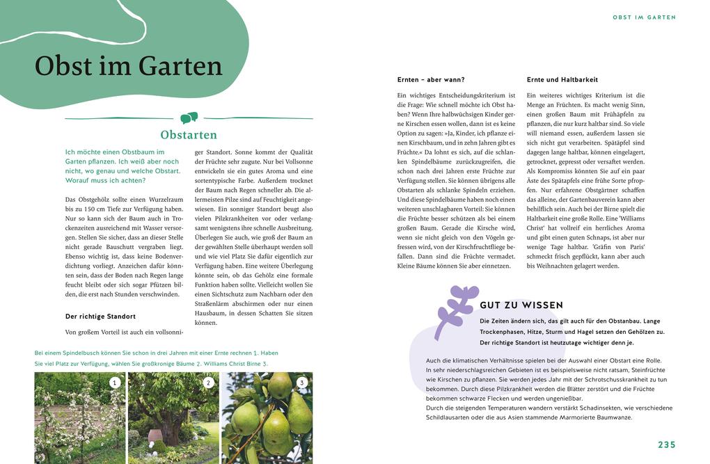 Weitere Ansicht: Gärtnern für Gartenneulinge | Andreas Barlage, Hansjörg Haas, Thomas Schuster, Brigitte Goss