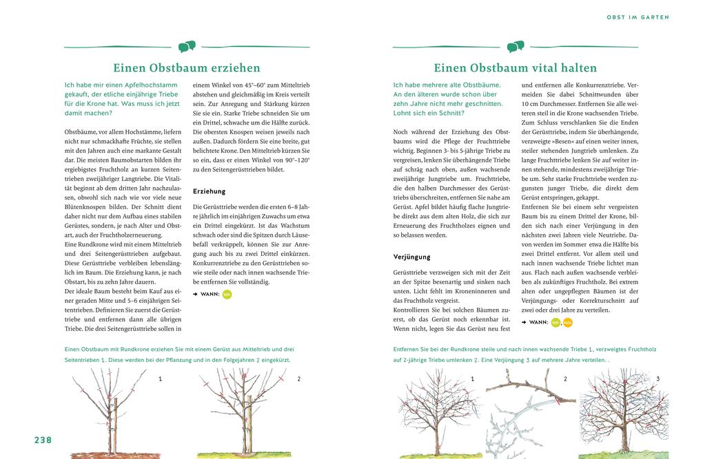 Weitere Ansicht: Gärtnern für Gartenneulinge | Andreas Barlage, Hansjörg Haas, Thomas Schuster, Brigitte Goss