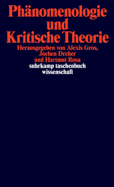 Produktbild: Phänomenologie und Kritische Theorie