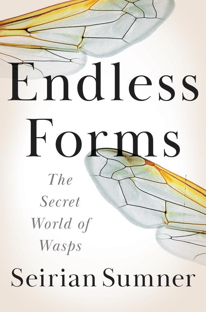 Produktbild: Endless Forms | Seirian Sumner