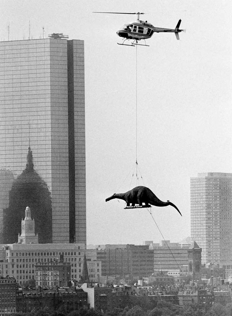 Weitere Ansicht: Dinosaurs are Collectible | Thijs Demeulemeester, Koen Stein