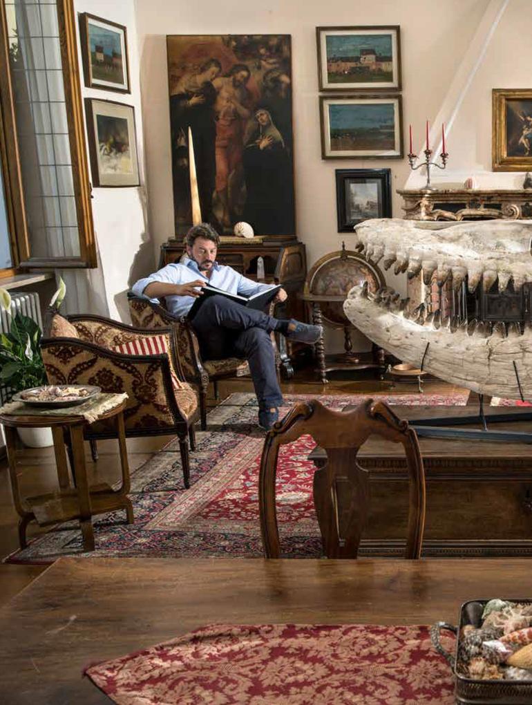 Weitere Ansicht: Dinosaurs are Collectible | Thijs Demeulemeester, Koen Stein