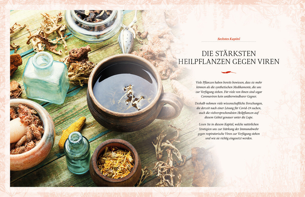 Weitere Ansicht: Heilkräuter und Gewürze gegen Viren | Sanja Loncar, Sanja Lonar