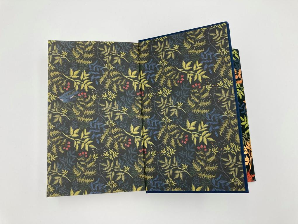 Weitere Ansicht: Die Vertraute | Stacey Halls