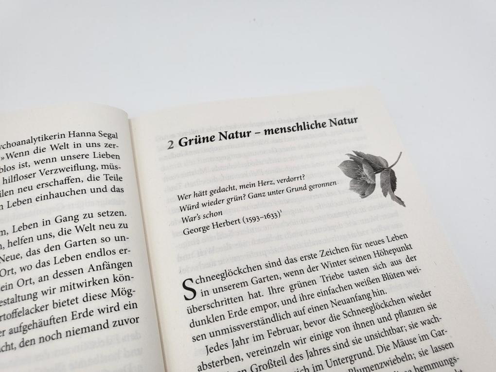 Weitere Ansicht: Vom Wachsen und Werden | Sue Stuart-Smith