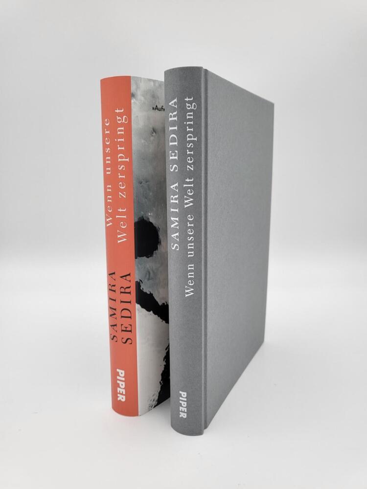 Weitere Ansicht: Wenn unsere Welt zerspringt | Samira Sedira