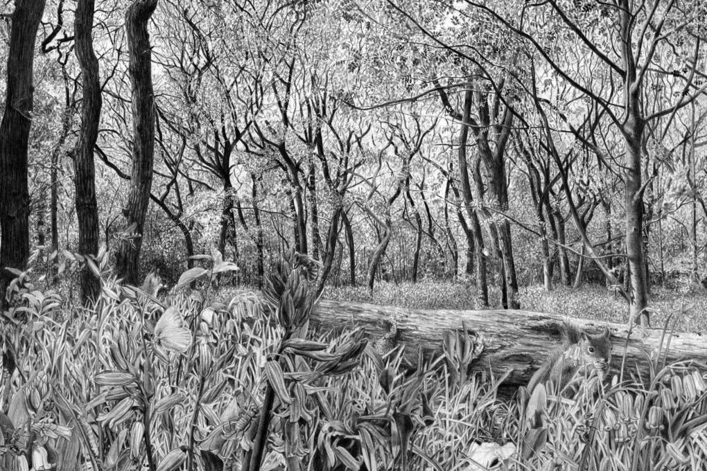 Weitere Ansicht: Wunderwelt Wald | Jan Paul Schutten