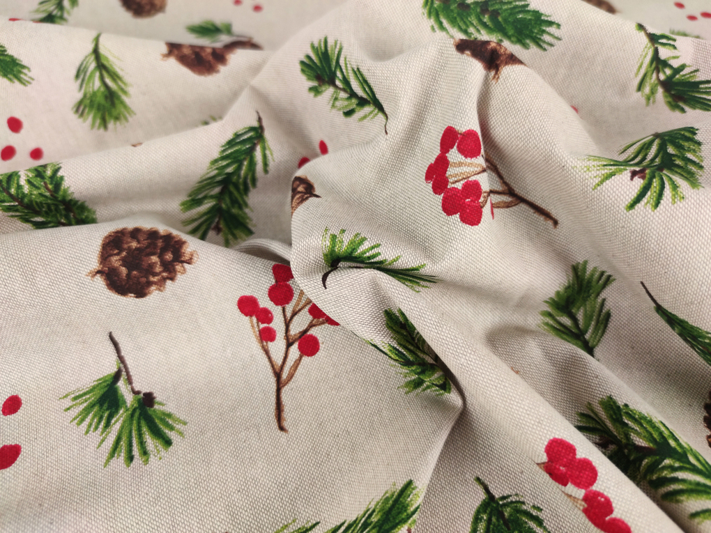 Weitere Ansicht: Leseknochen - Kiefernzapfen und Zweige