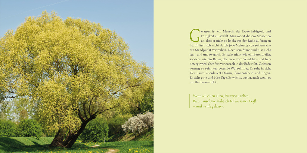 Weitere Ansicht: Vom Glück der Gelassenheit | Anselm Grün