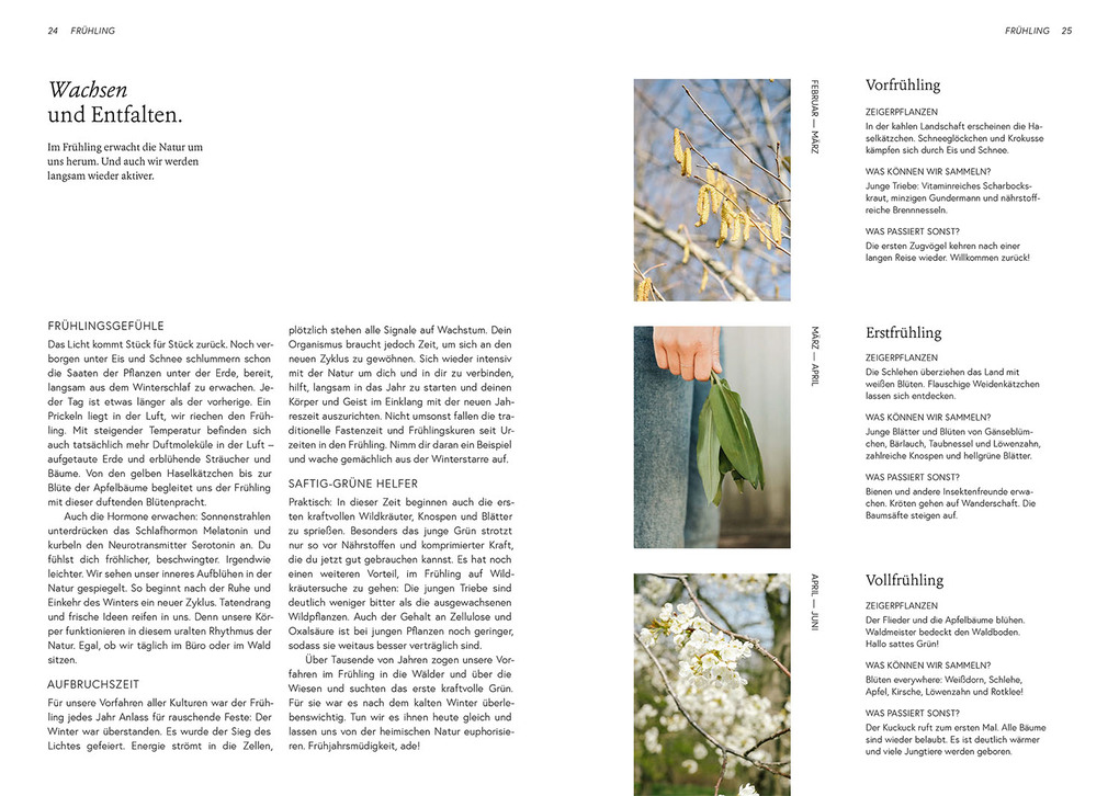 Weitere Ansicht: Kruut - Wildpflanzen im Alltag | Annika Krause, Thorben Stieler