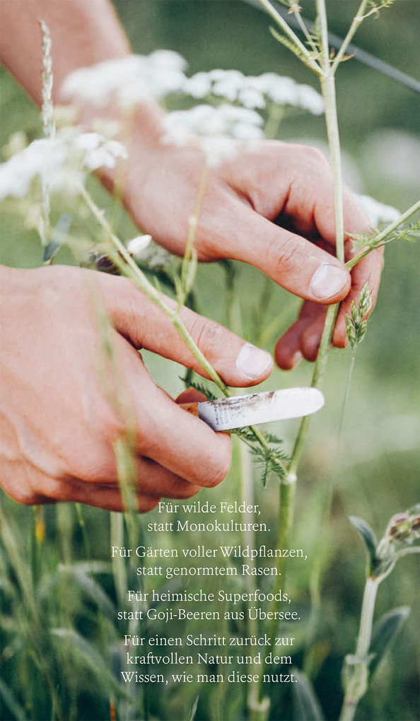 Weitere Ansicht: Kruut - Wildpflanzen im Alltag | Annika Krause, Thorben Stieler