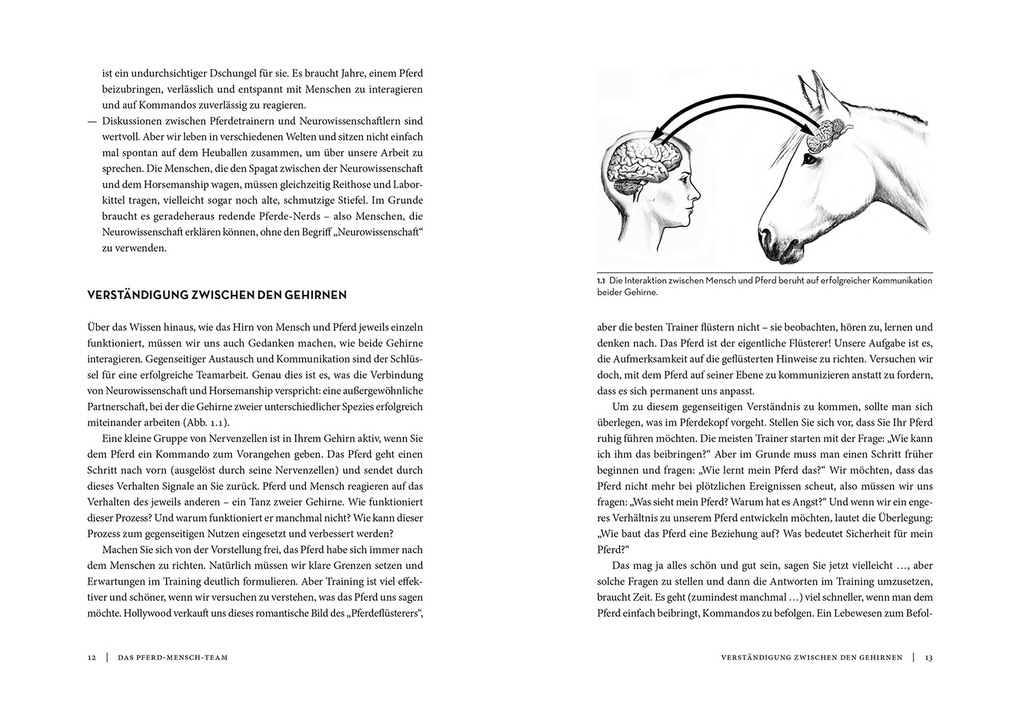 Weitere Ansicht: Horse Brain, Human Brain | Janet L. Jones