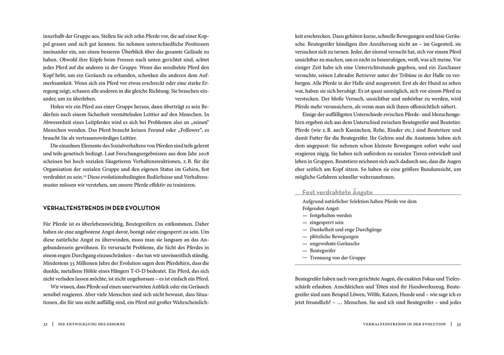 Weitere Ansicht: Horse Brain, Human Brain | Janet L. Jones