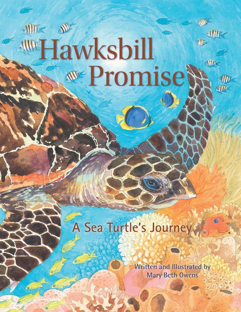 Produktbild: Hawksbill Promise | Mary Beth Owens