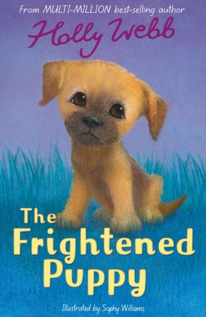 Produktbild: The Frightened Puppy | Holly Webb