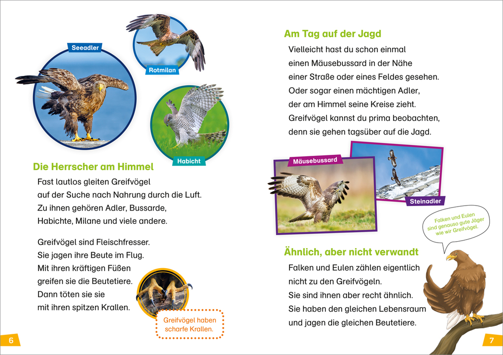 Weitere Ansicht: WAS IST WAS Erstes Lesen Band 18. Greifvögel | Christina Braun