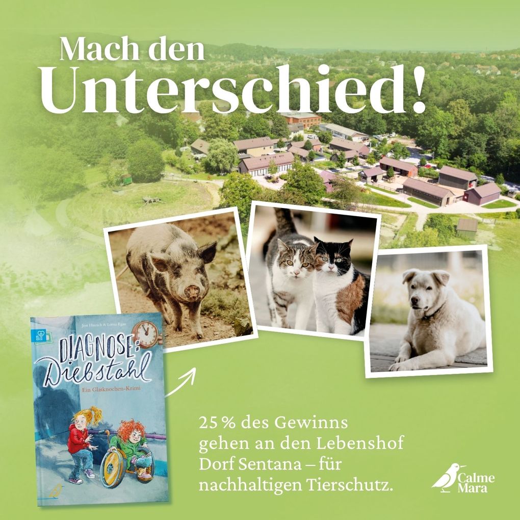 Weitere Ansicht: Diagnose: Diebstahl | Jost Hinrich