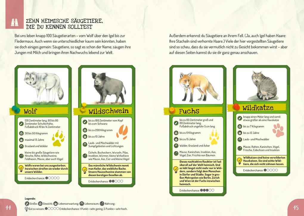 Weitere Ansicht: Das Outdoor-Entdeckerhandbuch | Andrea Schwendemann