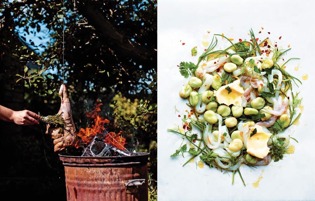 Weitere Ansicht: Provencal | Alex Jackson