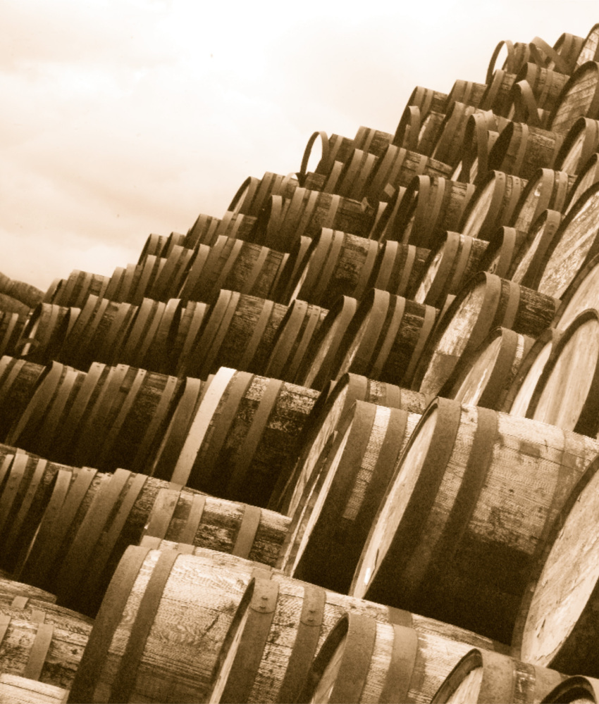 Weitere Ansicht: The Whisky Book | Fernand Dacquin