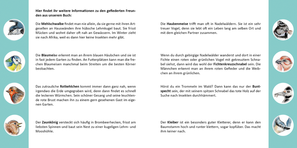 Weitere Ansicht: Farverig Sturmvogel | Rabea Funk