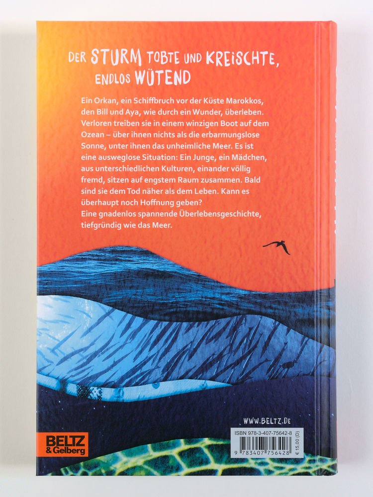 Weitere Ansicht: Allein auf dem Meer | Chris Vick