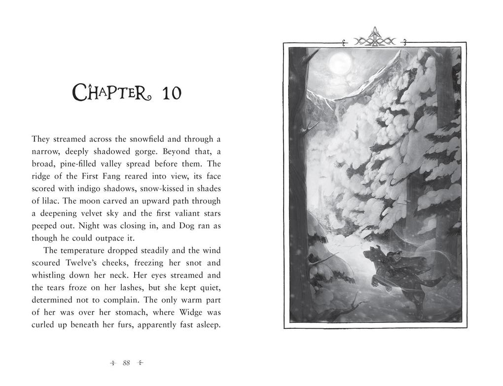 Weitere Ansicht: Fireborn 1: Twelve and the Frozen Forest | Aisling Fowler