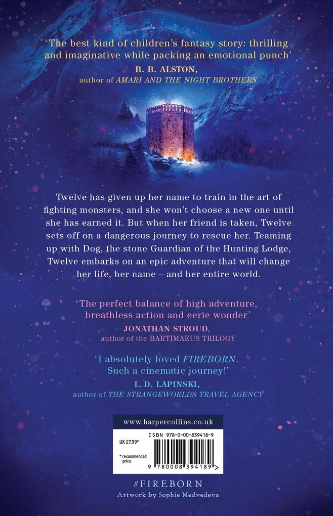 Weitere Ansicht: Fireborn 1: Twelve and the Frozen Forest | Aisling Fowler