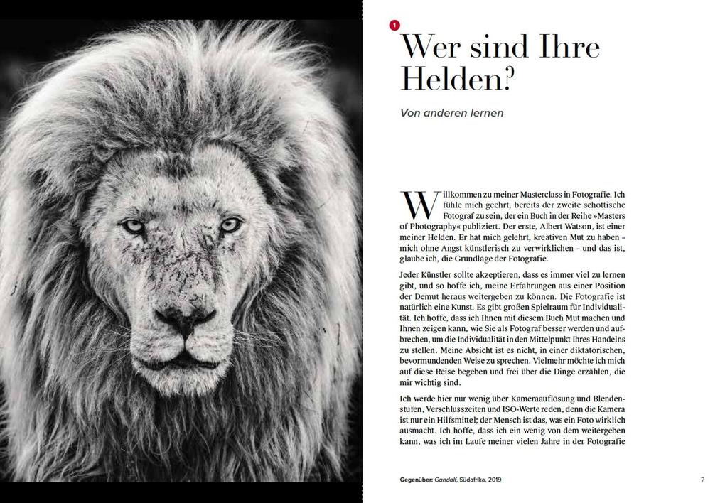 Weitere Ansicht: Wie ich Fotos mache | David Yarrow