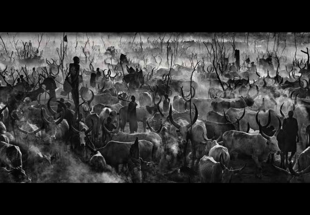Weitere Ansicht: Wie ich Fotos mache | David Yarrow