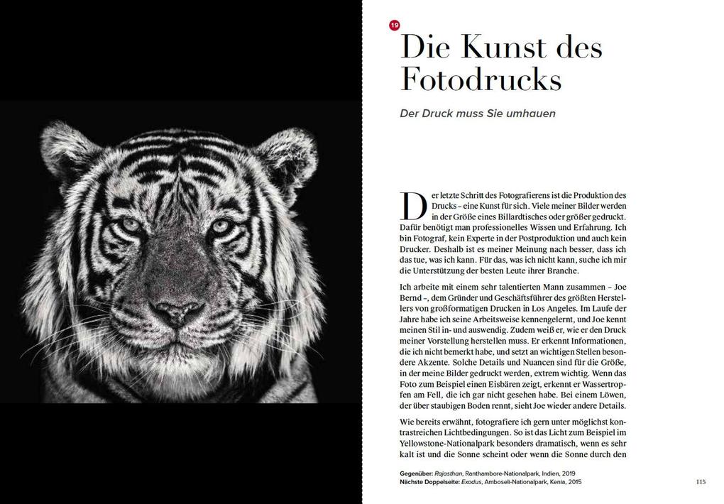 Weitere Ansicht: Wie ich Fotos mache | David Yarrow