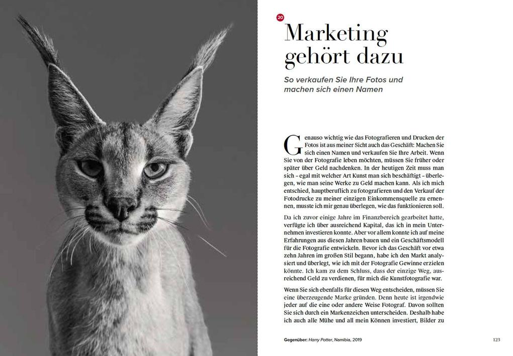 Weitere Ansicht: Wie ich Fotos mache | David Yarrow