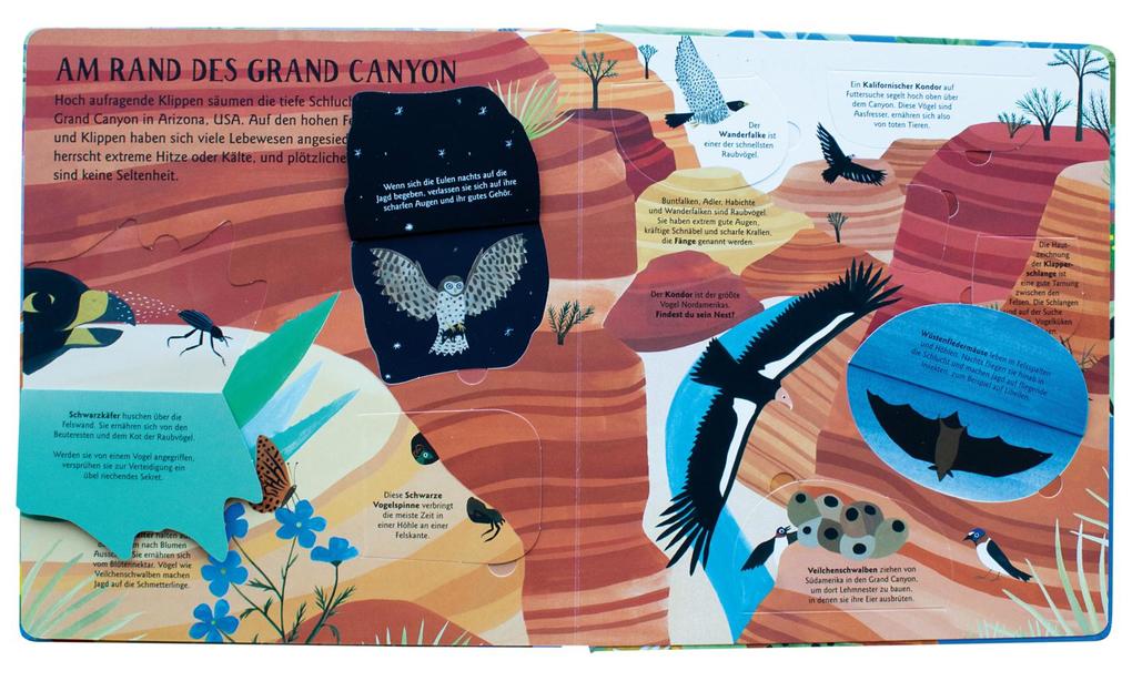 Weitere Ansicht: Kleine geheime Welten an Land | Lara Hawthorne